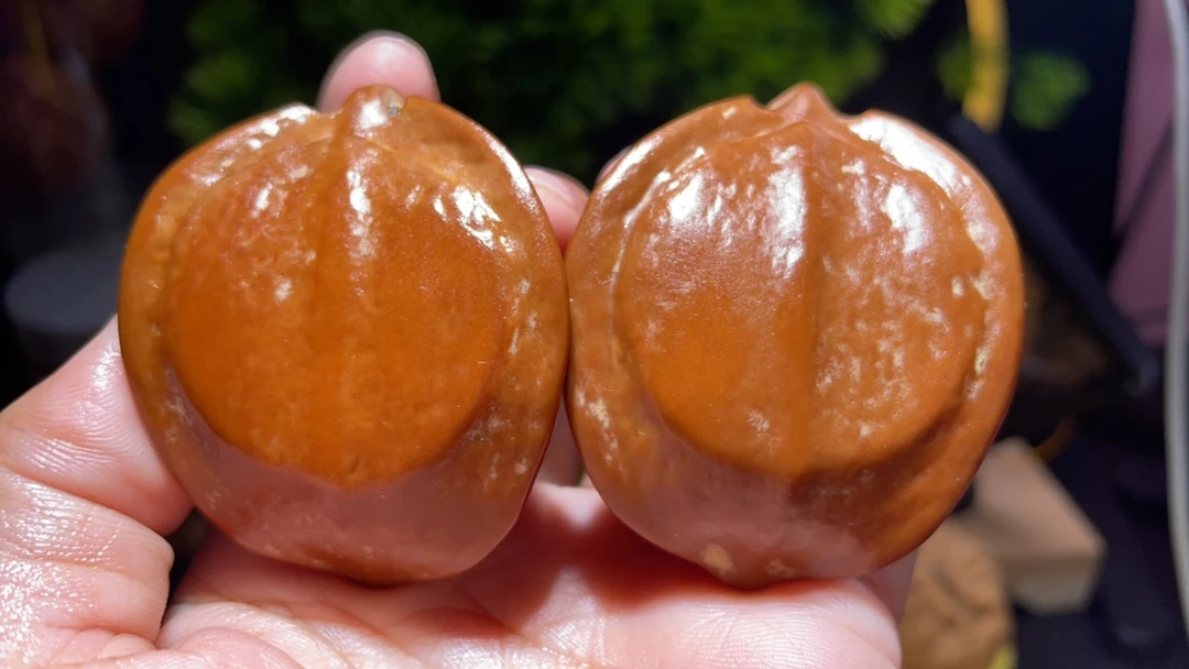 印尼大橄榄核飞碟橄榄核超大