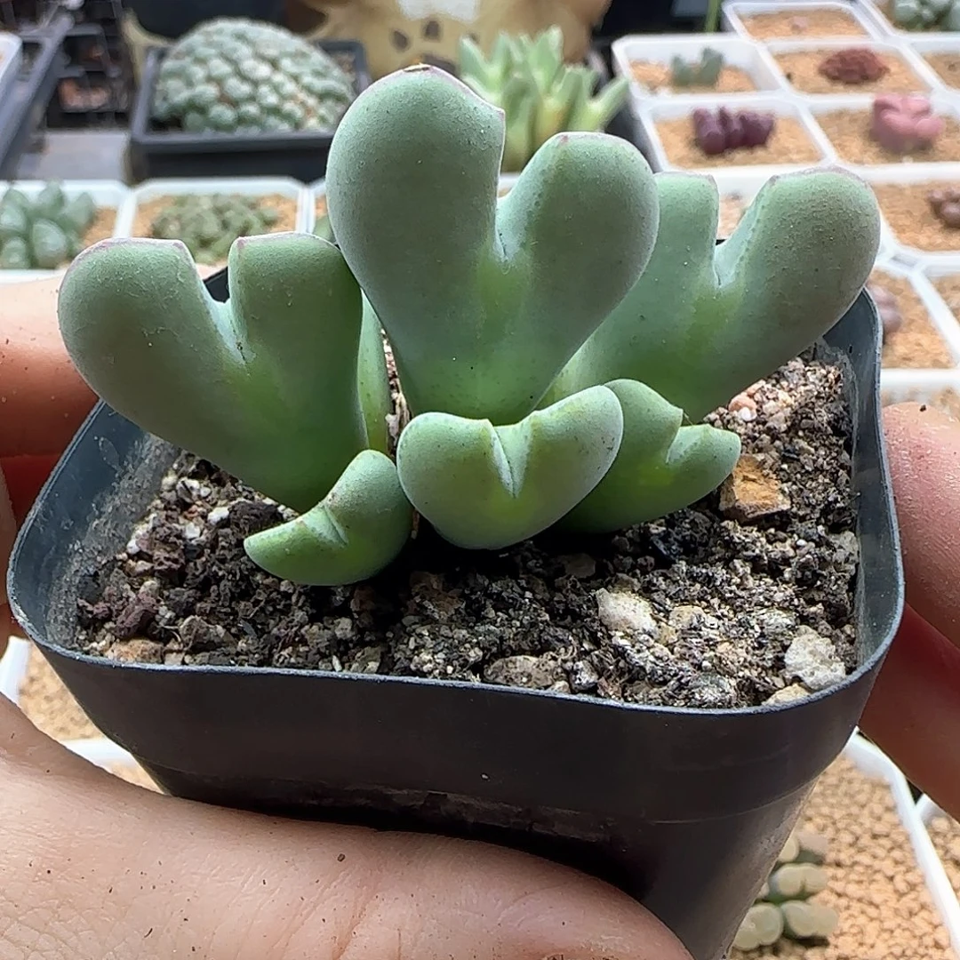 *****哈哈哈哈哈哈哈哈48237