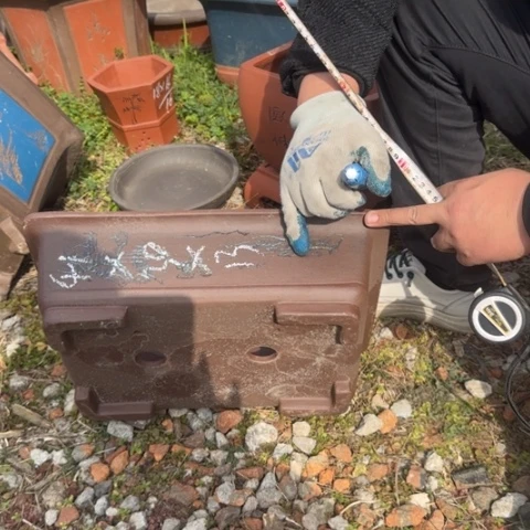 紫砂花盆紫砂花盆盆景盆栽