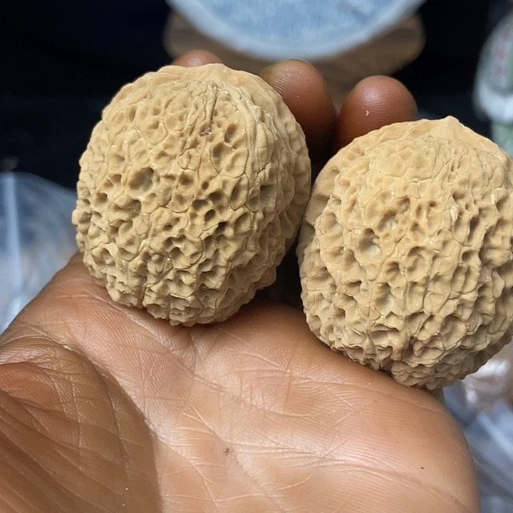 把件文玩核桃云南铁核桃基地93