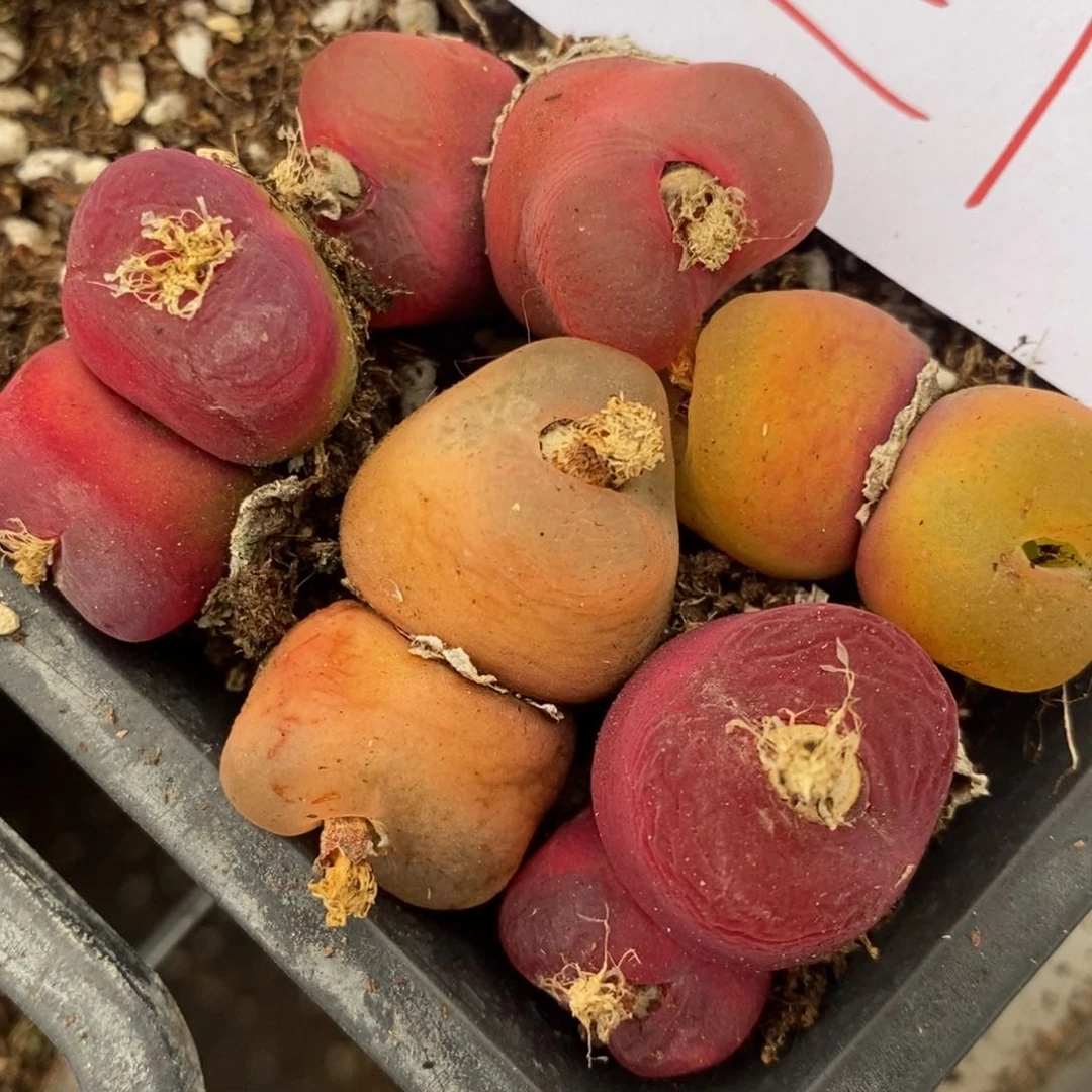 1191一组一组一组