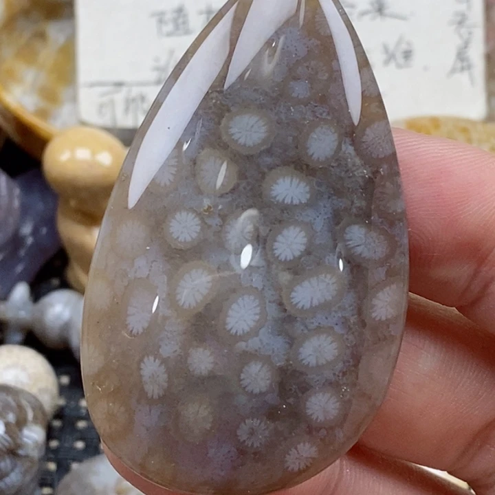 颈饰未镶嵌硅化珊瑚（珊瑚玉）有瑕