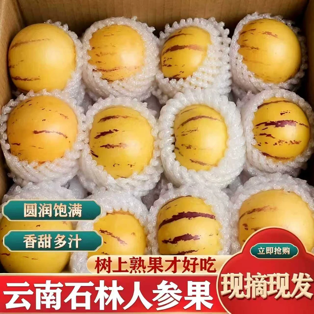 正宗云南石林树熟人参果黄肉圆果大果黄心超甜水果产地直发