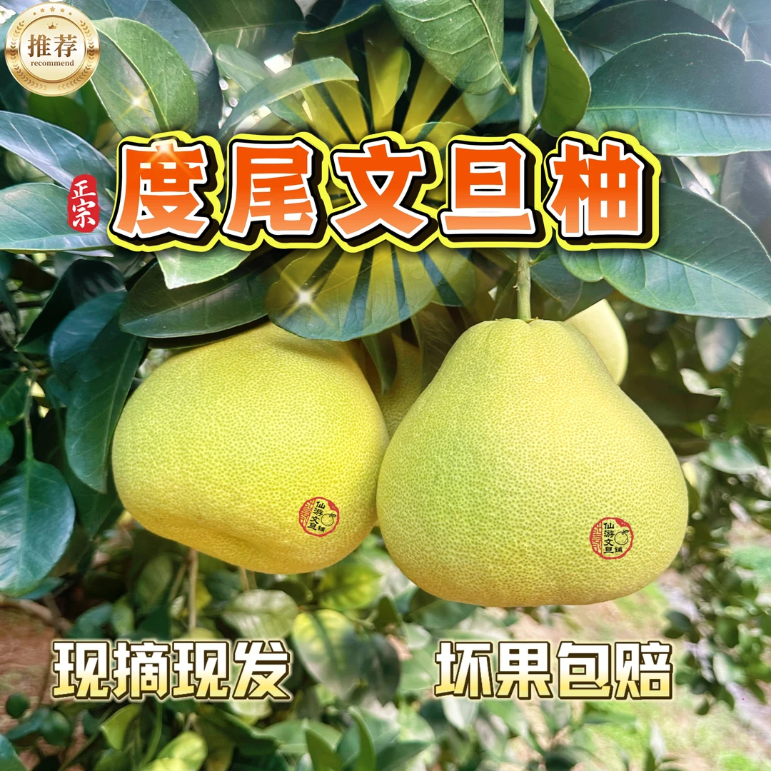 【30/50斤】度尾文旦柚 老树无洞现摘现发当季新鲜水果孕妇皮薄多汁