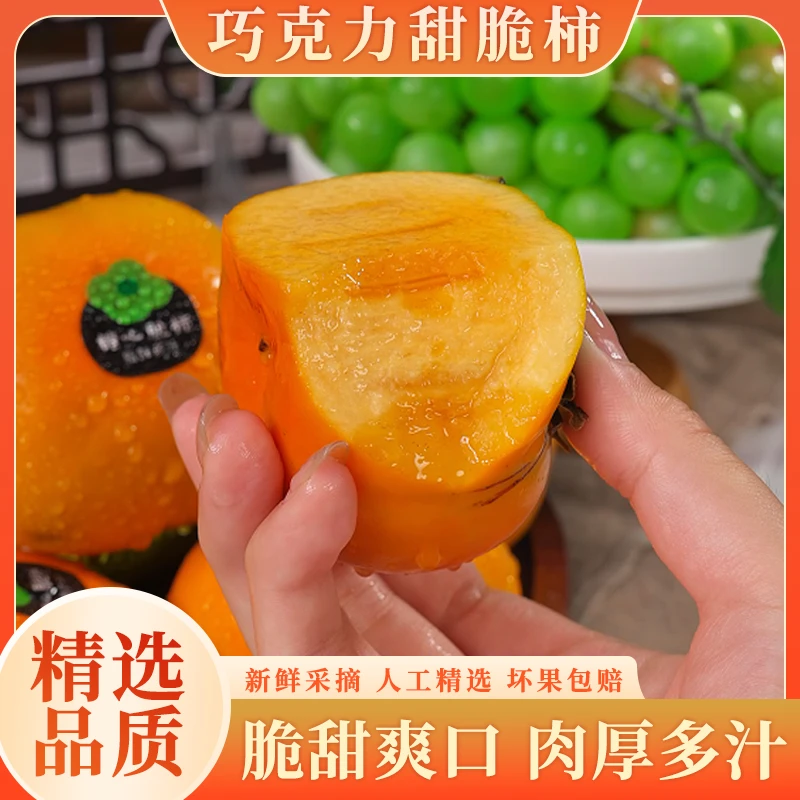 阳丰巧克力甜脆柿新鲜当季水果脆甜多汁头茬山西脆柿现摘4.5斤