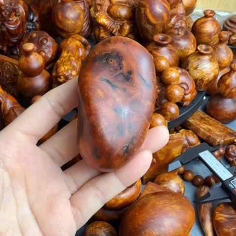 松木（琥珀木）其他