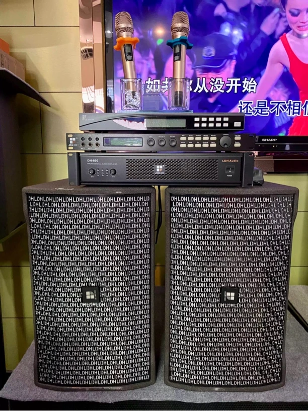 LDH/新珑WOLVER猎狼者12寸专业高端ktv家庭音响