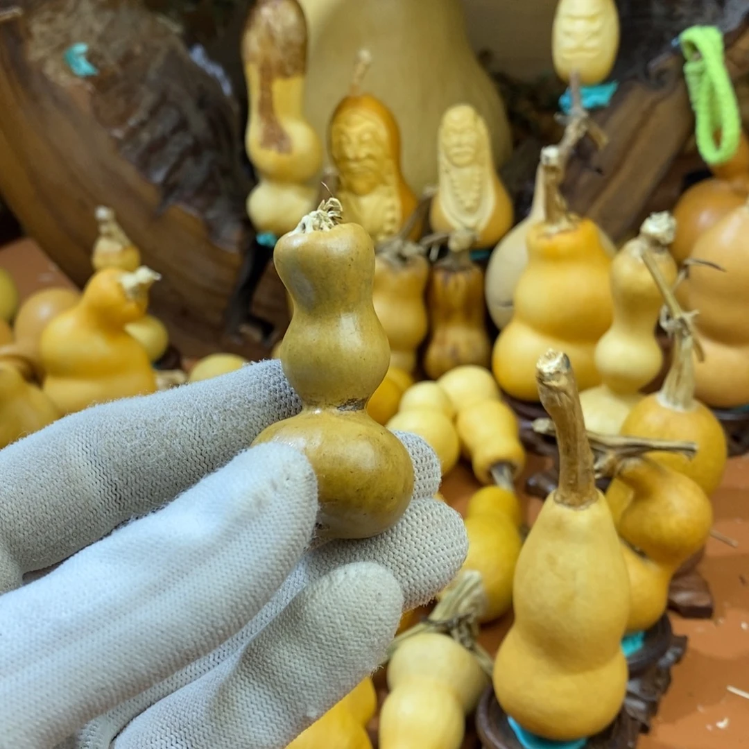 瑞***禄，教练咯咯嘛教练咯哦