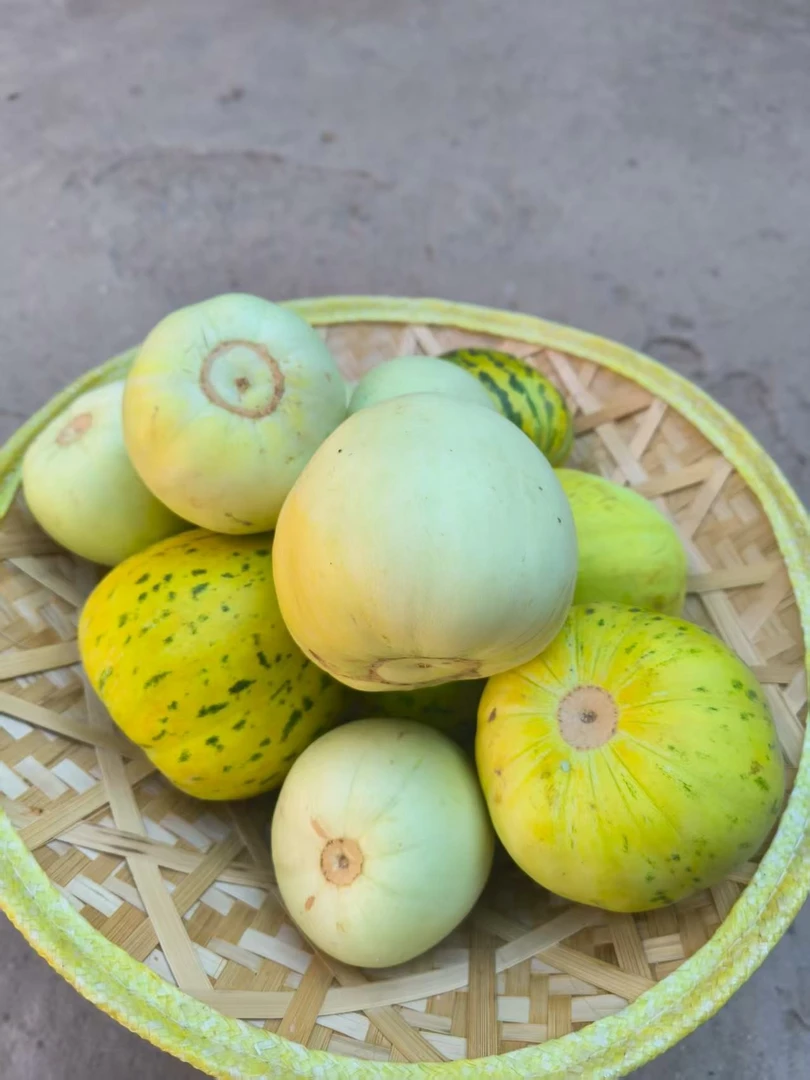 （独立包装）少见水果甜瓜芳香四溢满屋飘香车屋香薰唇齿留香甜瓜