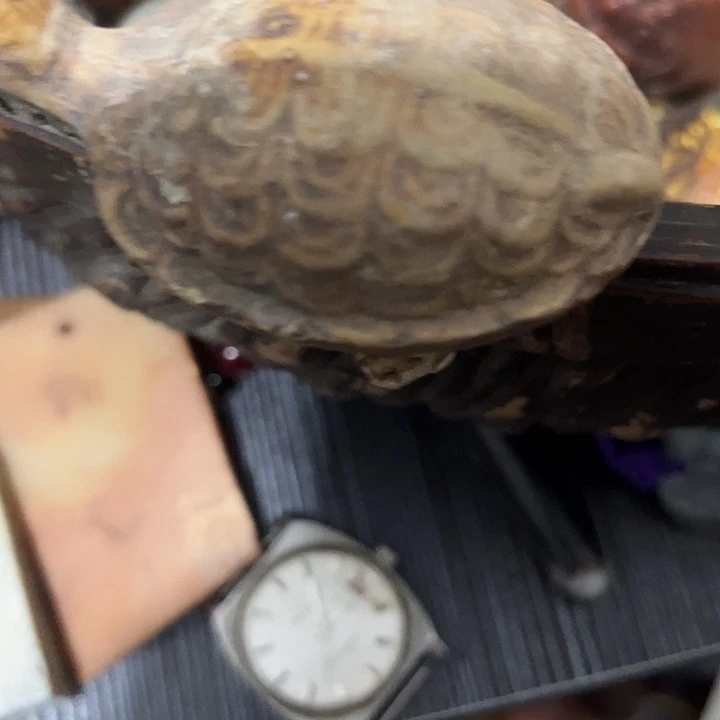 执***力杂色豆（科檀/科特迪瓦檀木）