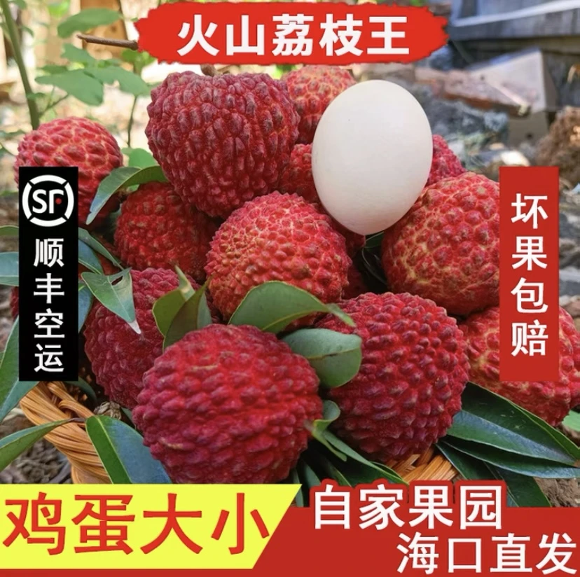 【正宗海南永兴火山荔枝王】现摘现发坏果包赔原产地空运发货