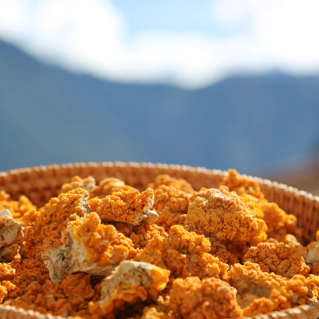 农家现收山货特产金耳100g口感糯胶质足