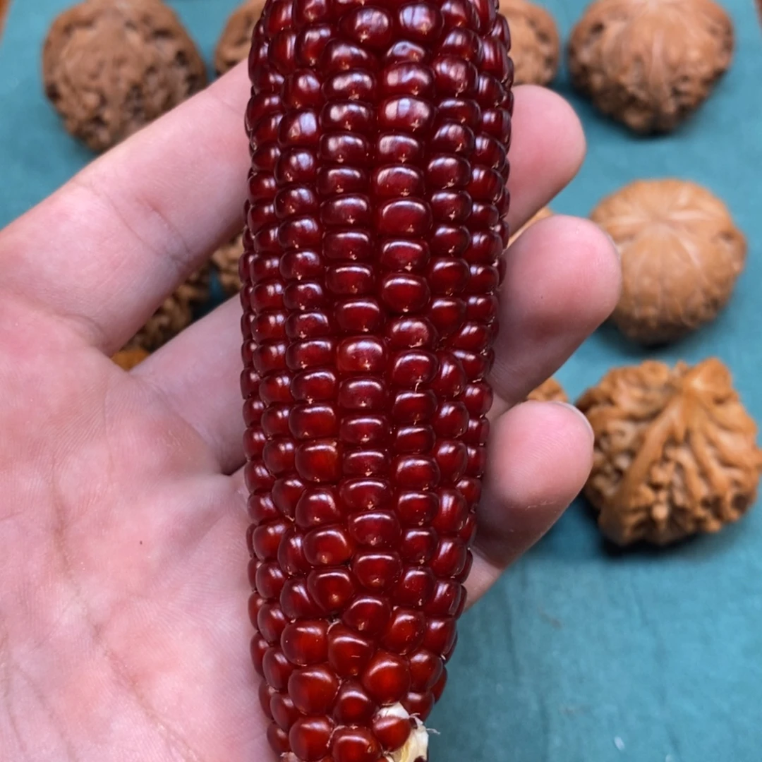 桃核吊坠纹完玉米