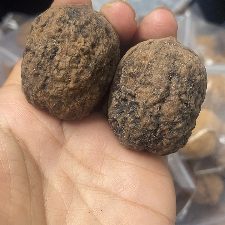 把件文玩核桃云南铁核桃基地23