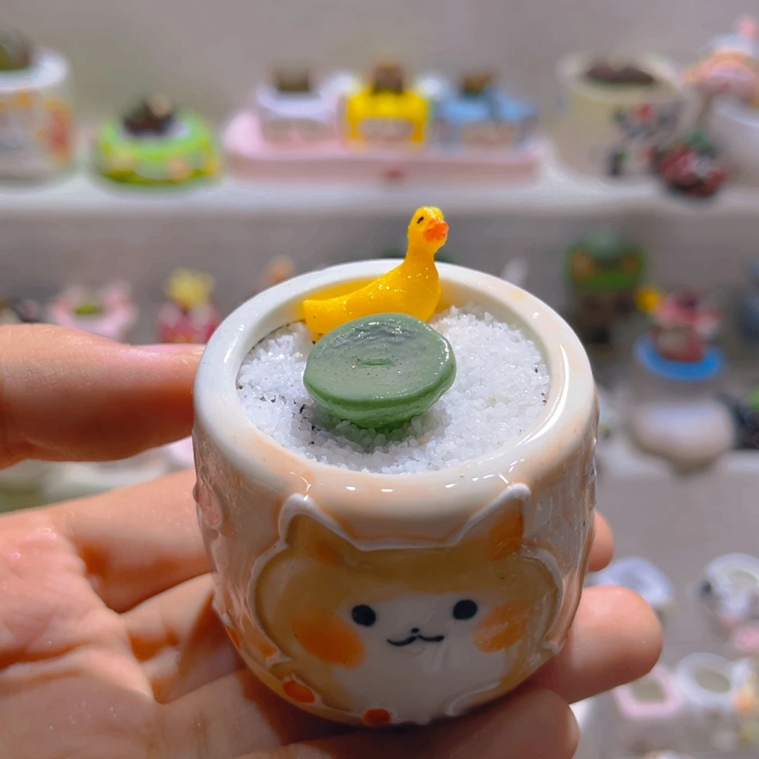 035酒杯肉锥带盆土一套45.8