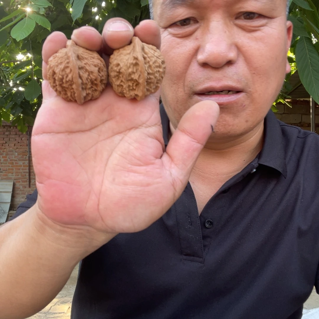 文玩核桃吊坠红狮子38