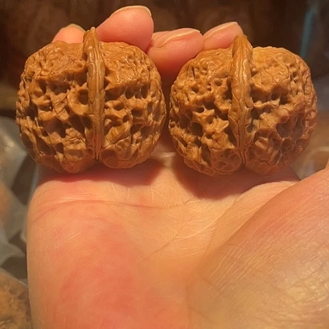 文玩核桃把件果冻皮质带彩磕尖41