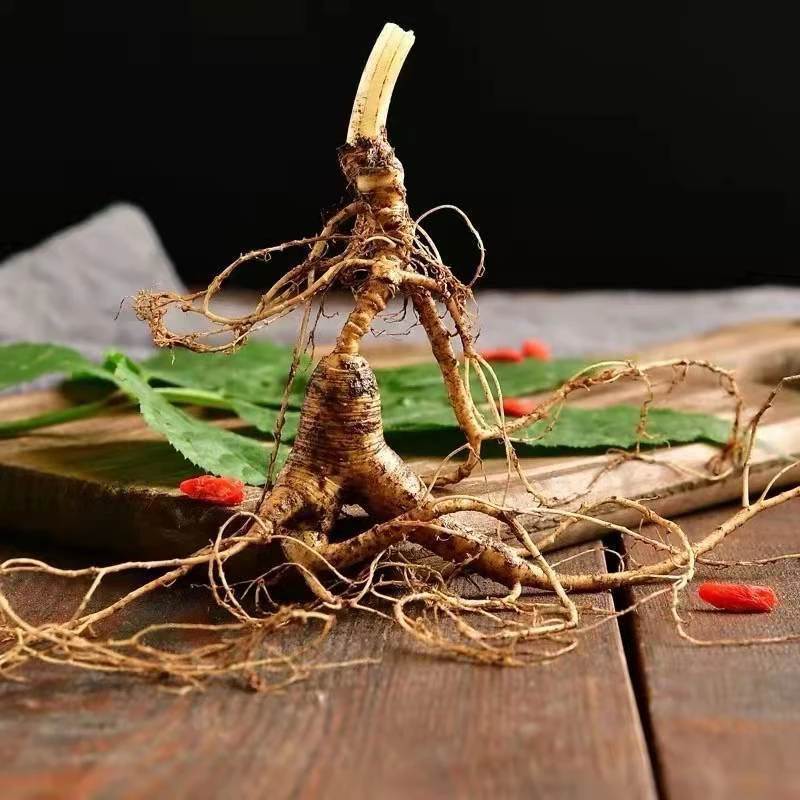 长白山鲜参丰富可煲汤煮水东北泡茶长白山鲜林下山参野山参人参