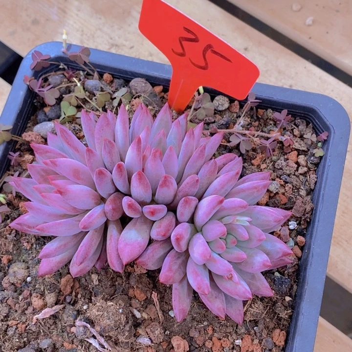 这样做不就更让自己