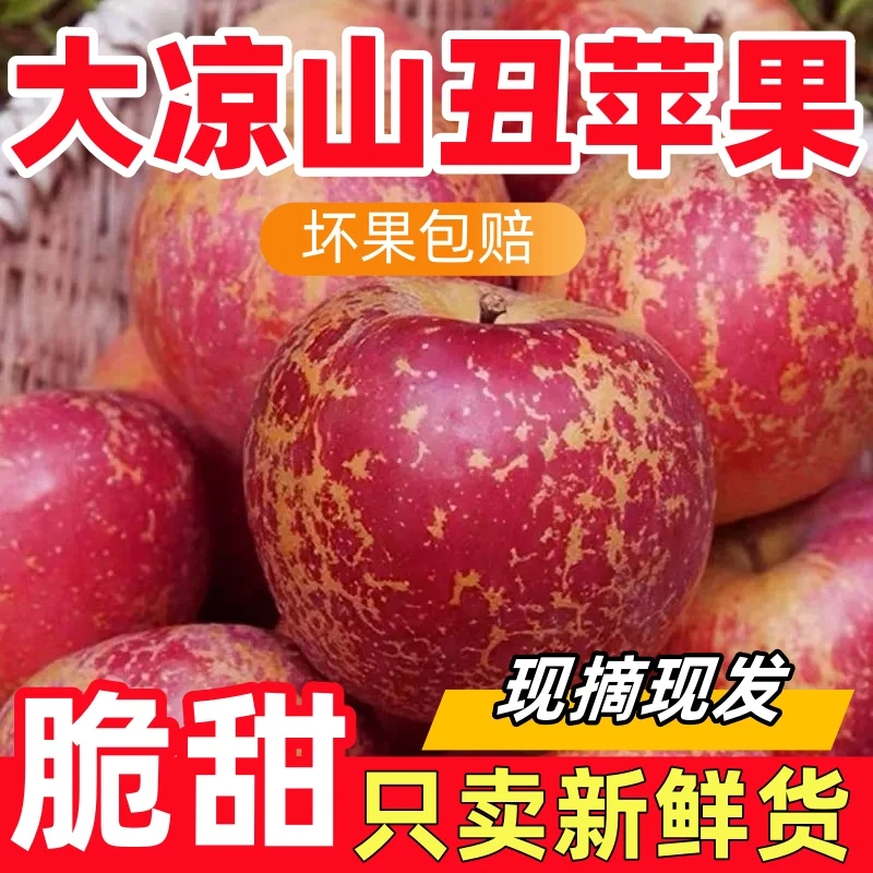 产地直发丑苹果脆嫩多汁现摘现发新鲜冰糖心丑苹果自然熟