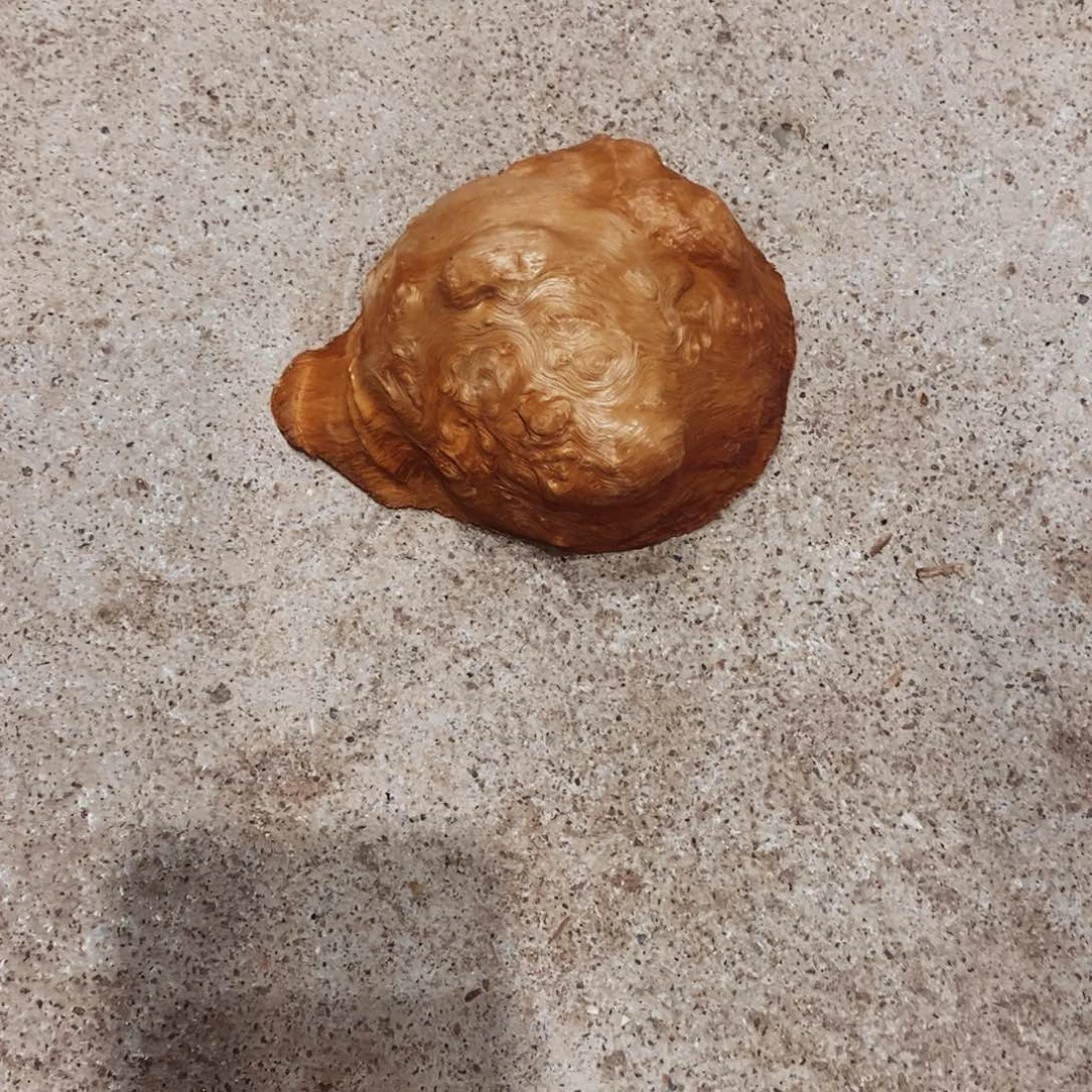 雾***景荔枝木随形木材一个