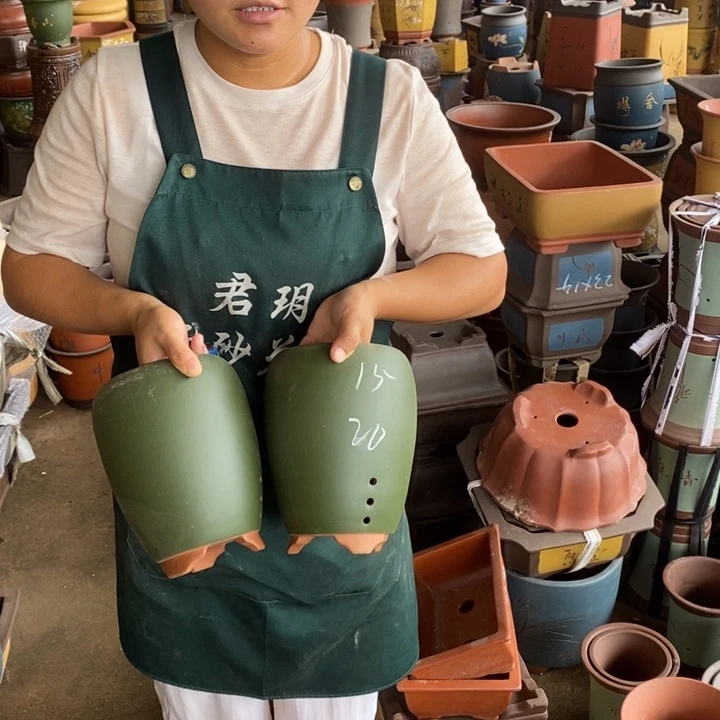 紫砂花盆盆栽花卉苗木种植