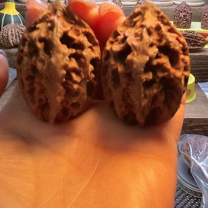 核桃29号车放漏咯
