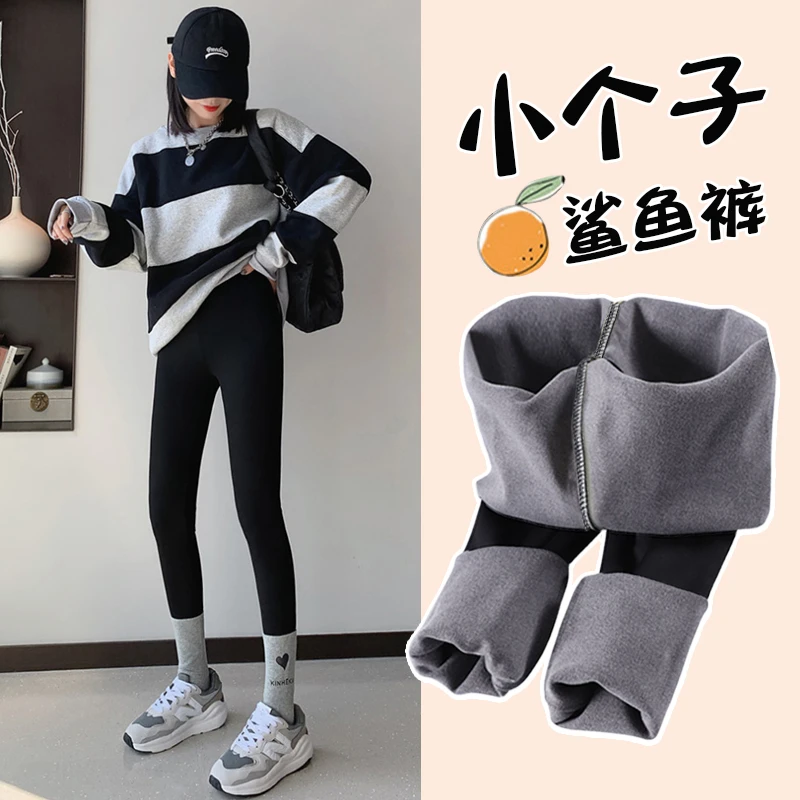 加绒加厚显瘦鲨鱼裤女款2025正流行裤子秋冬抗寒保暖瑜伽裤外穿