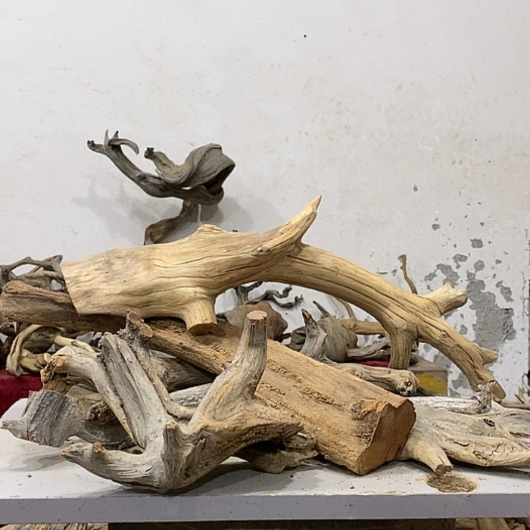 【闪购商品】柏木广****羽我们都是好孩子