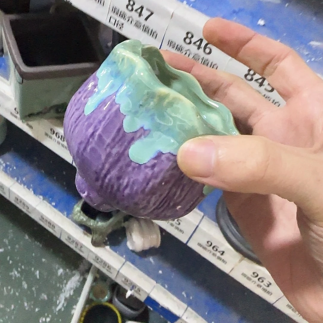 福利局［凑9元包邮24小时发］844