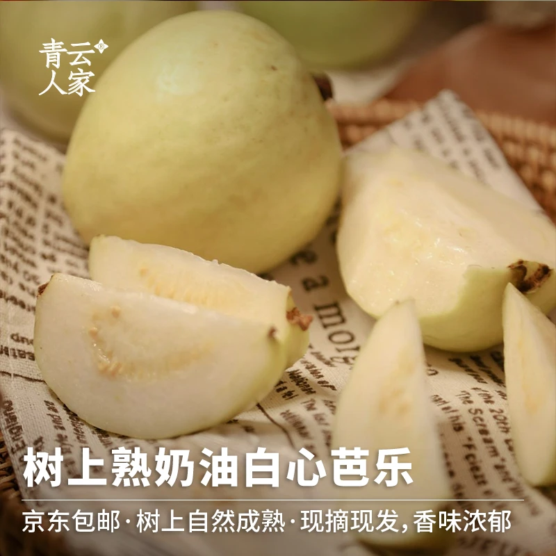 【京东包邮】树上熟奶油白心芭乐5斤装 番石榴产地直发香糯清甜