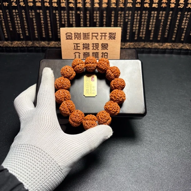 高端:金刚菩提老树终结者20尺(4号)