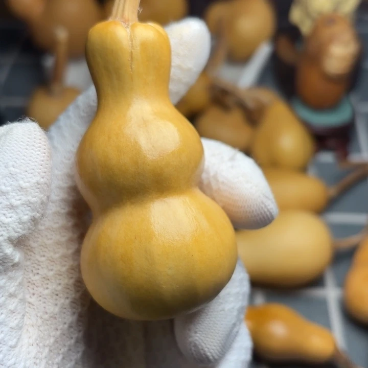 啾***子花嘴66666666666666