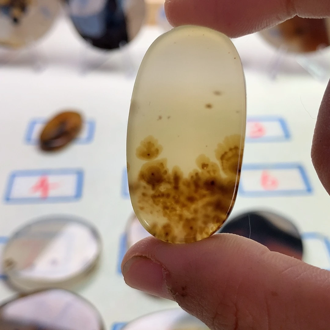 未镶嵌玛瑙/玉髓珠宝半成品