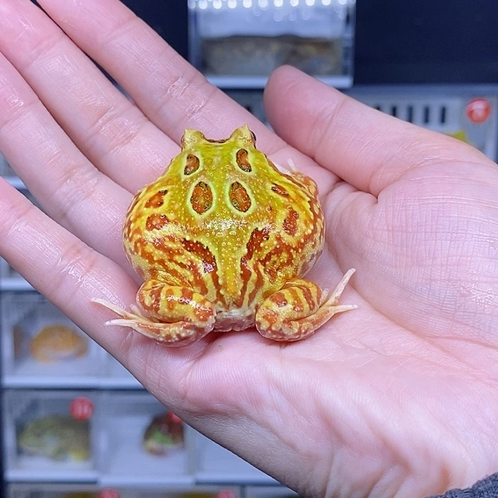 特价秒杀现货特价