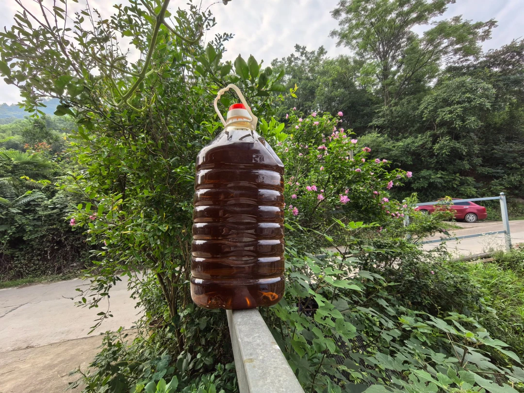 【敬妹子农产品】菜籽油