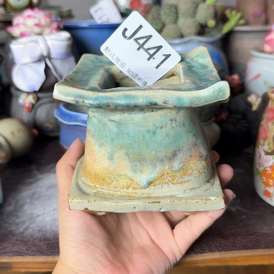 重庆小燕子欢迎大家441