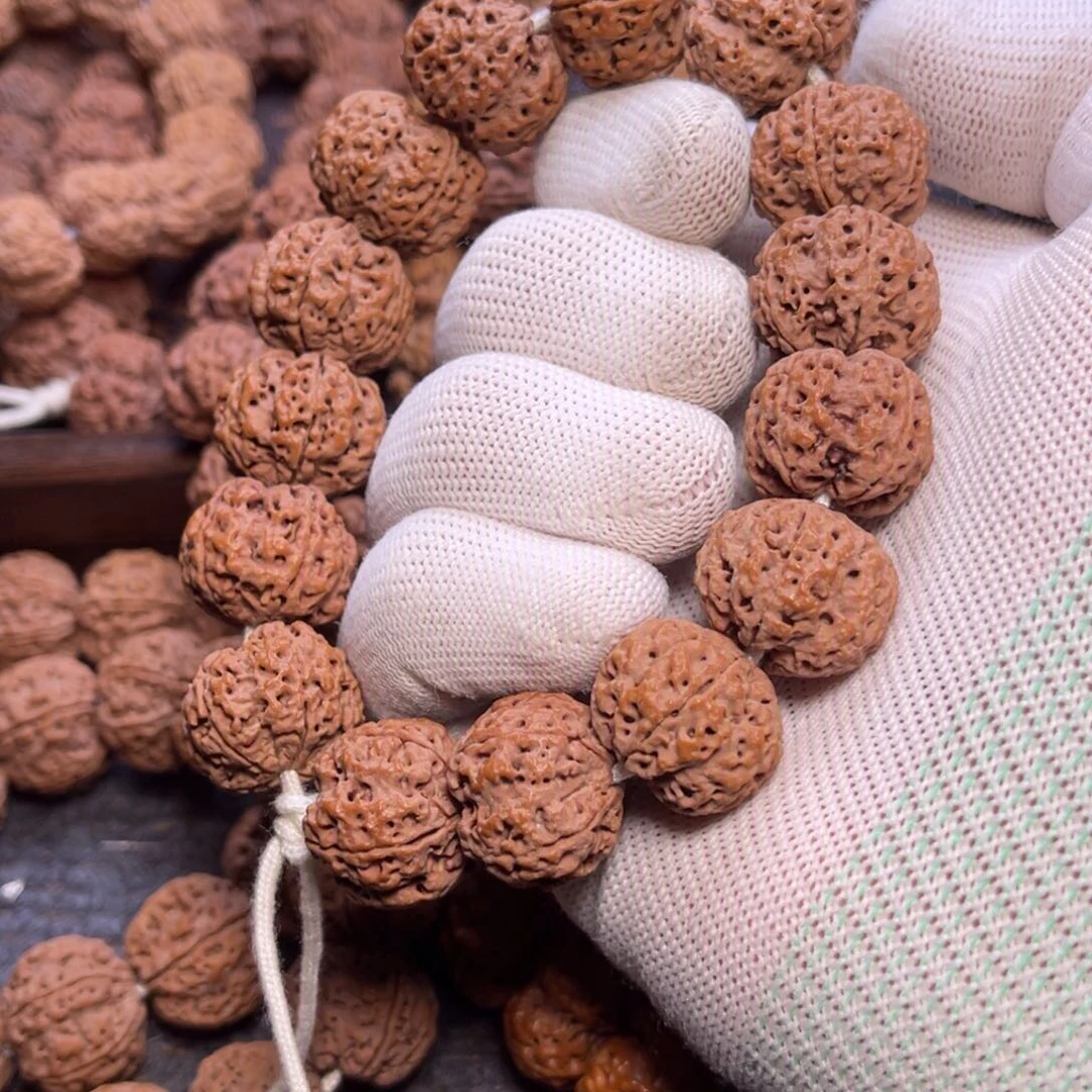 菩提金刚菩提20+梅花蜂王