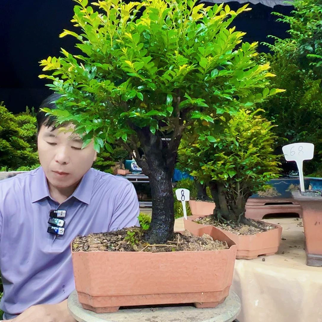 无花朵性**猫12345678