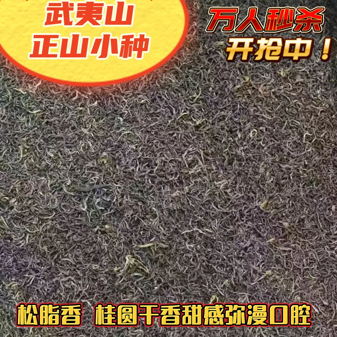 浓香型正山小种红茶武夷山新茶 香气松脂香桂圆香耐泡 自营店茶叶