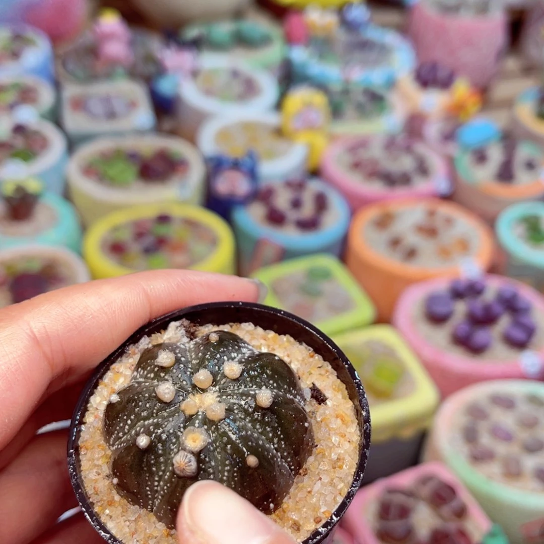 965 8888888888888888888