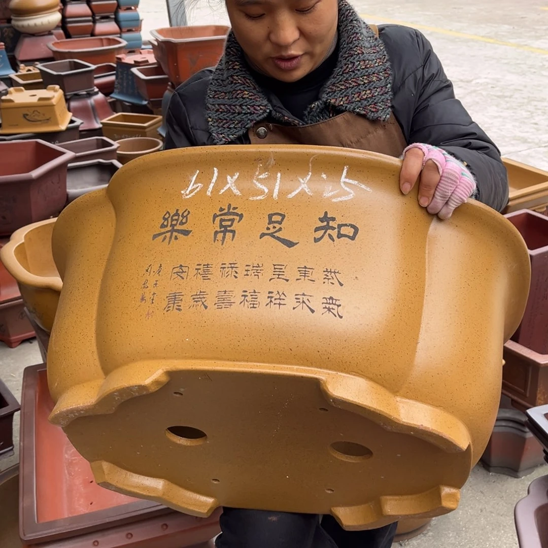 紫砂花盆盆景艺术