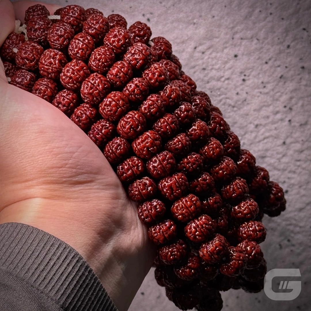 【体验级】老树王基础体验级手持单圈勿里达产区小金刚菩提手持