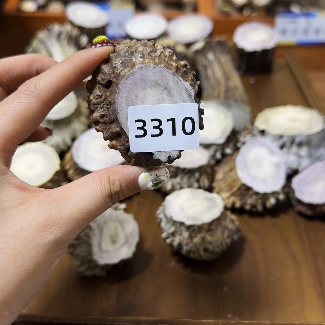 鹿骨手串/手链角帽3310