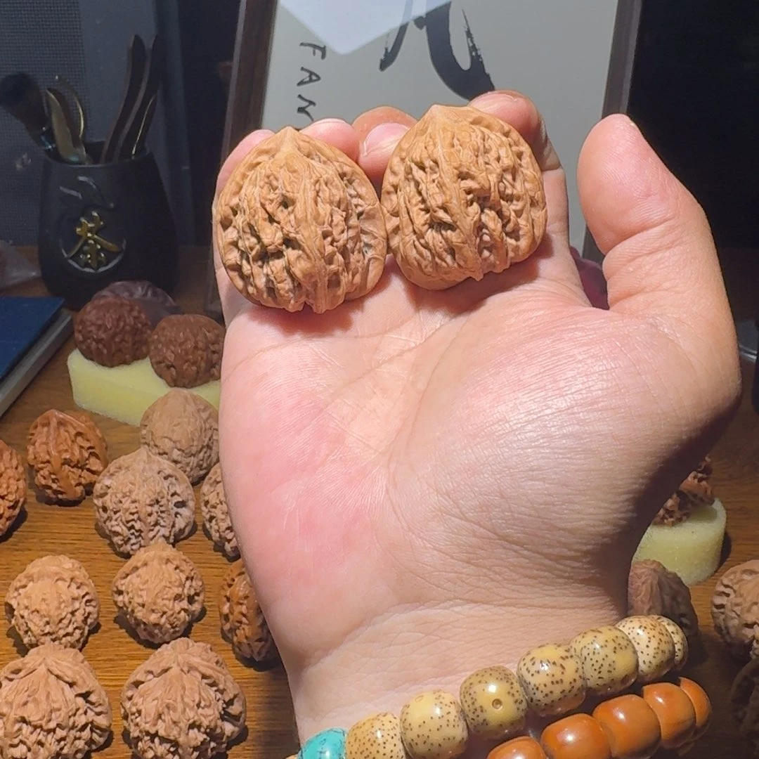 文玩核桃把件赤龙鸡心37尺寸