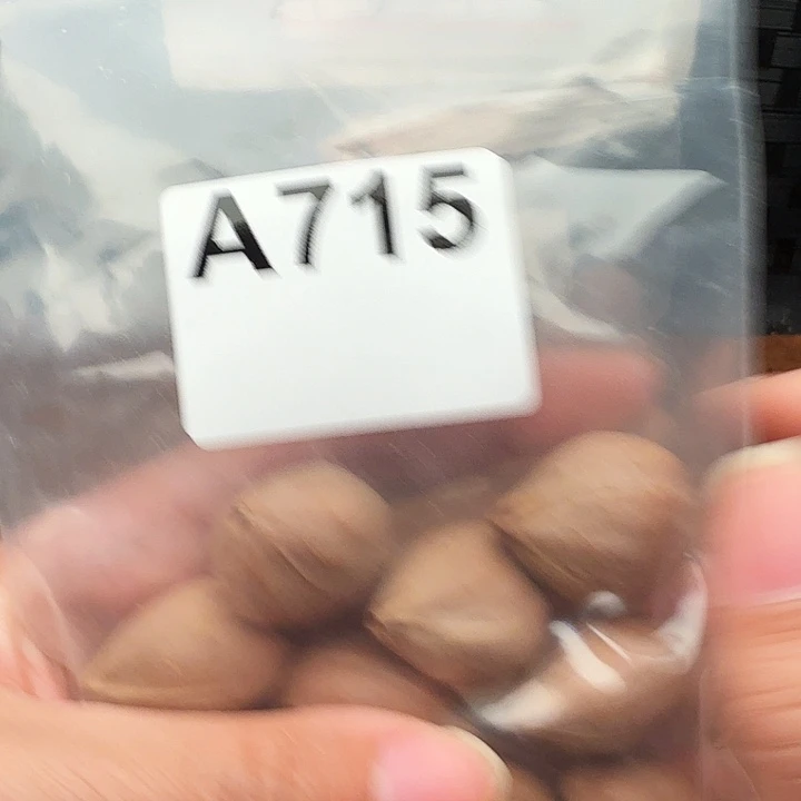 祥***哥手串/手链橄榄核橄榄