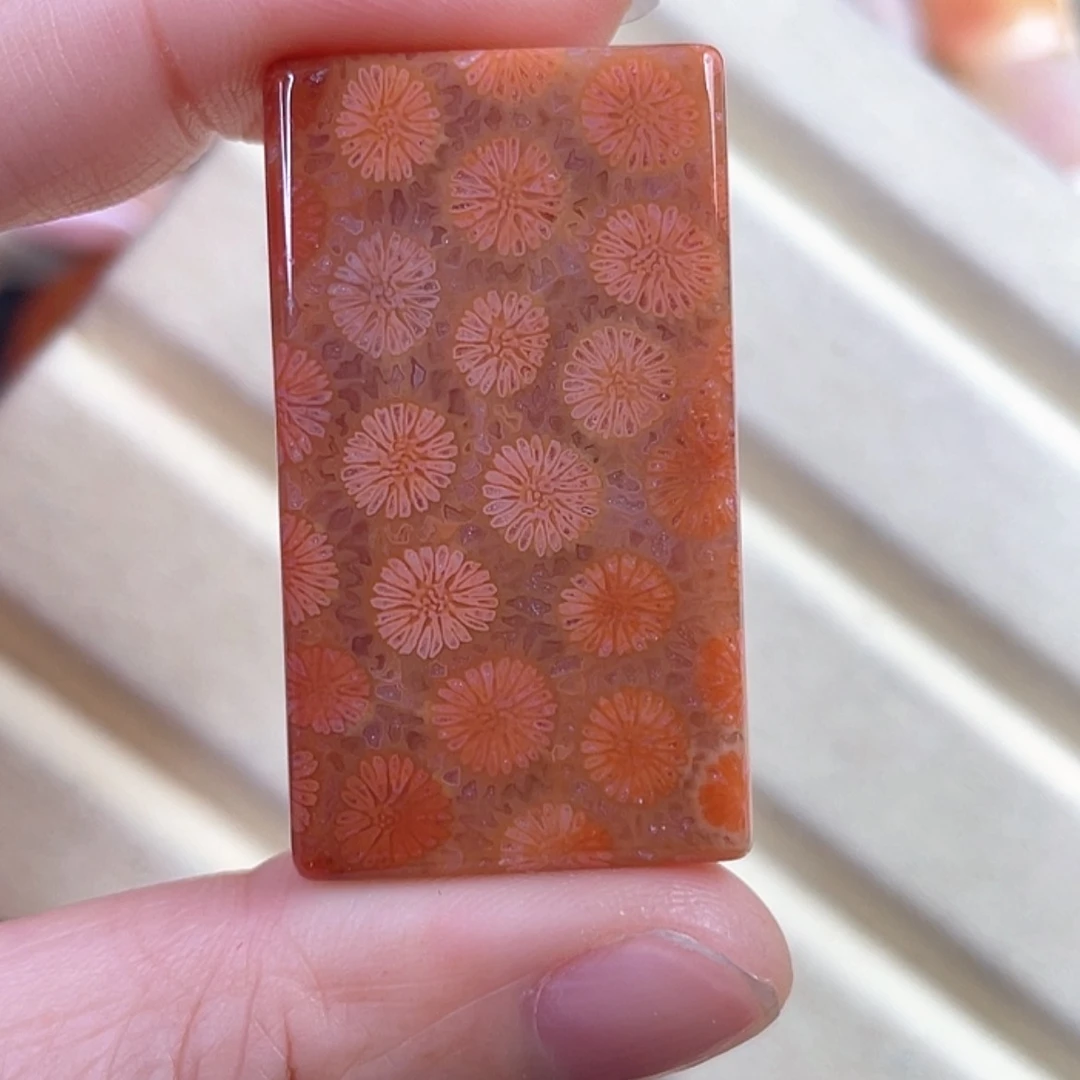 【闪购商品】硅化玉吊坠(赠链)未镶嵌