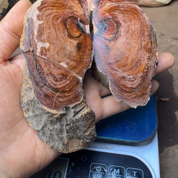 黄花梨/降香黄檀艺****活黄花梨抛光