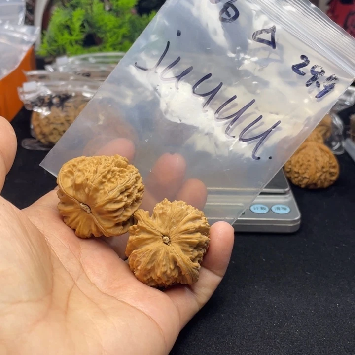 文玩核桃把件j****e白狮子
