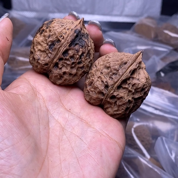 核桃云南野生铁核桃41号38mm